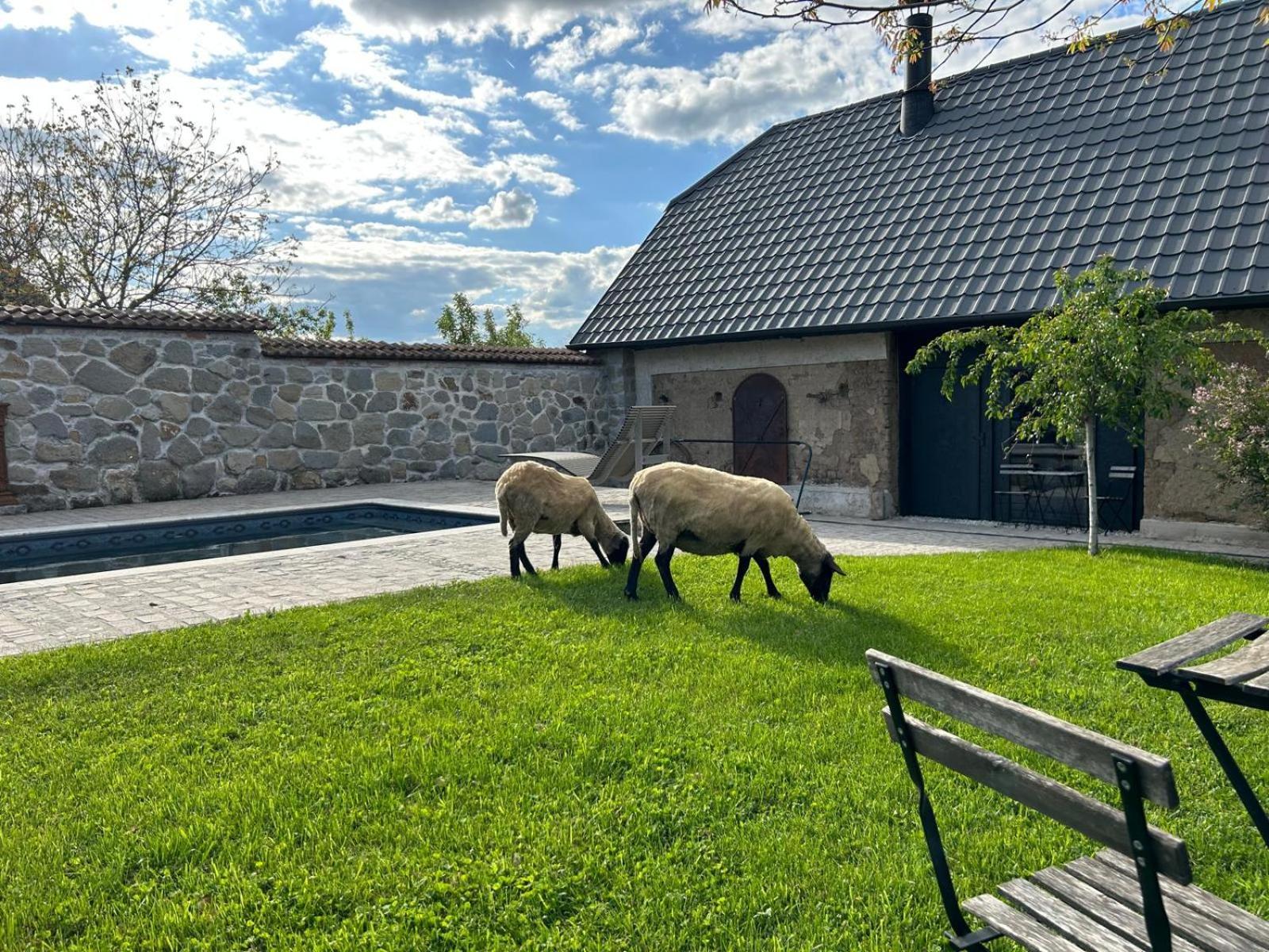 Dvor 13 Hokovce Hotel Buitenkant foto